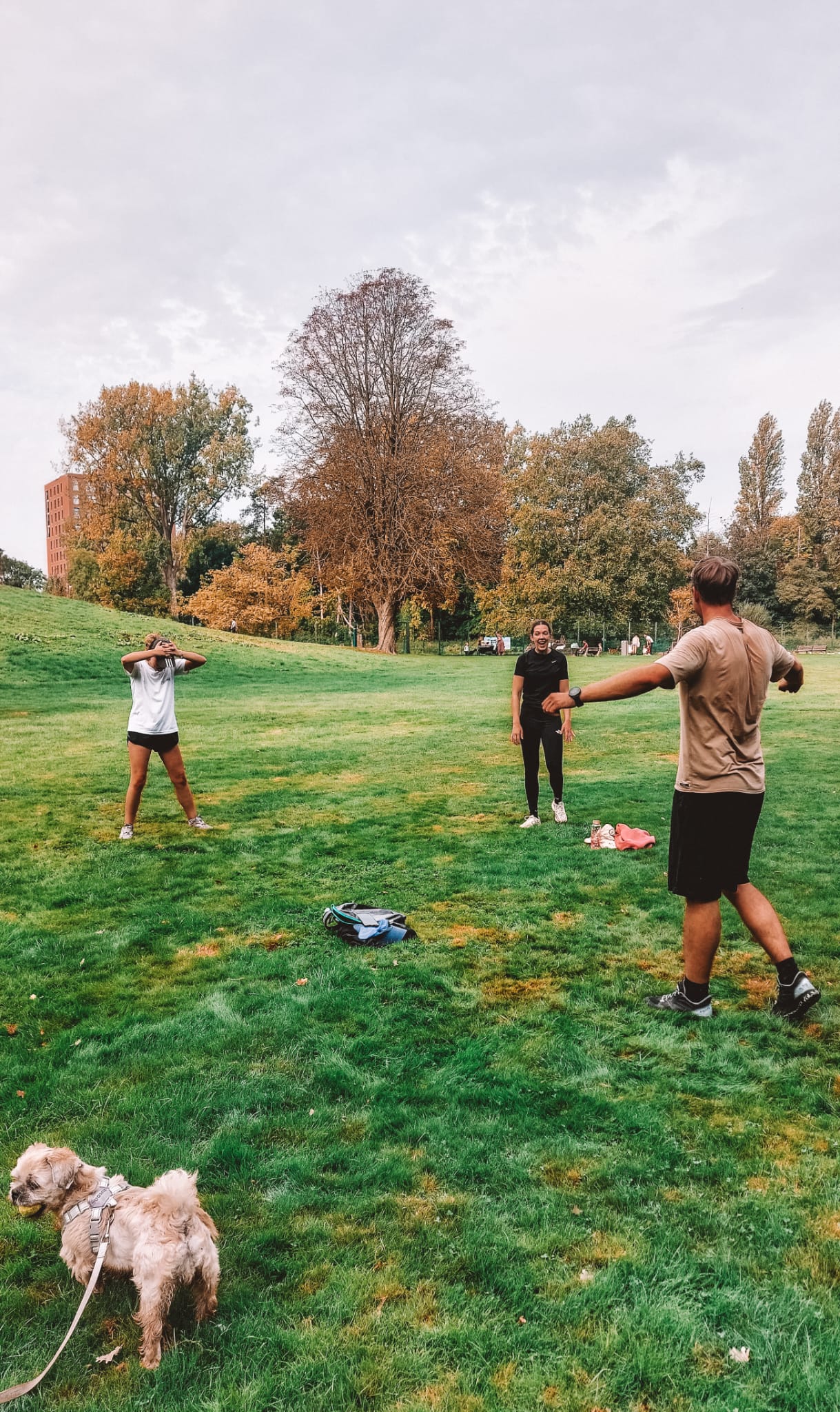 Foor bootcamp — training in het park, dog included